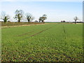 TA0254 : Farmland at TA020541 by Stephen Horncastle