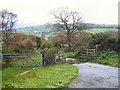 Cattle Grid by Rabbit Warren Hill