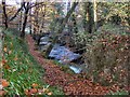 Afon Clywedog