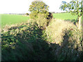 River Ash near Gravesend