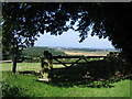 View from bottom of Tolsford hill looking West