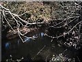 River Taw near Westacott Farm