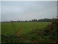 Footpath across the fields