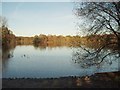 South End of Shakerley Mere