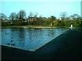 Boating Lake, Coronation Park