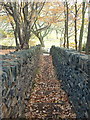 Footpath Cockley Hill