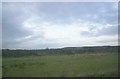 Scrubland and slagheap in distance