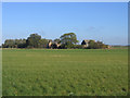 TF2304 : Fenland farm, Eye Green, Peterborough by Rodney Burton