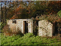 TQ4615 : Derelict Buildings by Acorn Cottage on the edge of Plashetts Wood by Rog Frost