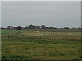 Across the marshes to Holiwell Farm