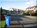 Bin day, Polmont