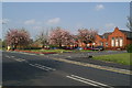 Britannia Bridge School in cherry blossom time