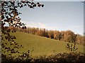 Farmland near Washfield Weir