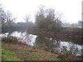 The River Severn at the White Horse. Walham