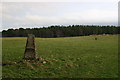 Standing Stones near Grantown-on-Spey