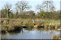 Rushcombe Lake