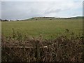 Towards Boar Hill, Kirkby in Ashfield