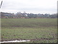 Looking NW towards Holford Hall from Ascol Drive