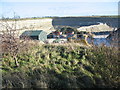 Westbury Down chalk pit