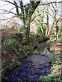 Stream near Georgia bridge