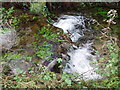 Stream in Foage Valley