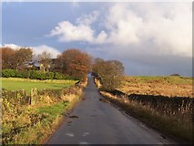 SE1866 : Road at Madge Hill Farm by Chris Heaton