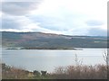 Glas Eilean (island) off Port Ann, Loch Fyne, Argyll.