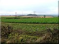 View North West From Entrance to Fir Tree Farm