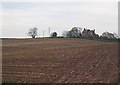 Harvested maize, Miles Hope.