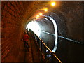 SP0585 : Edgbaston Tunnel by Chris Hoare