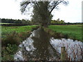 Stream near Chasemore Farm