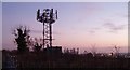 Phone mast near Cleat Hill