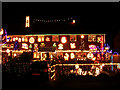 Christmas lights, Fairlie Park, Ringwood