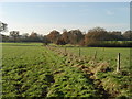 Radlett: Little Kendals Wood