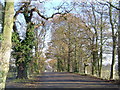 Radlett: Access road to Kendal Hall Farm