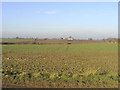 Winter Farmland