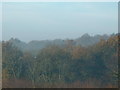 Misty morning, Blackhouse Farm, Colgate