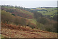 Exford: west from Sellbed Cross