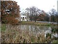 Potato Pond, Woodford Green