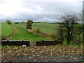 View East From Hangbank Cottages