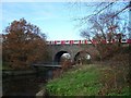 TQ4293 : Roding Valley viaduct by John Davies
