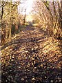 Aberdare canal tramroad at Robertstown