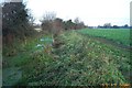 Maidenhead: Farmland and ditch north of North Town