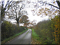 A country lane, Abridge