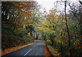 St Neot: road in the Loveny valley