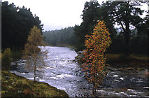 NO0789 : Confluence of the Lui and the Dee. by Peter Ward