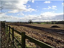 ST0203 : Countryside north of Langford by Richard Knights