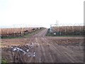 Polytunnel Skeletons