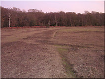 SU3009 : Dusk on the edge of the New Forest Golf Club by Jim Champion