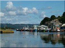 NR8668 : Fishing Fleet in Port, Tarbert, Loch Fyne by Patrick Mackie